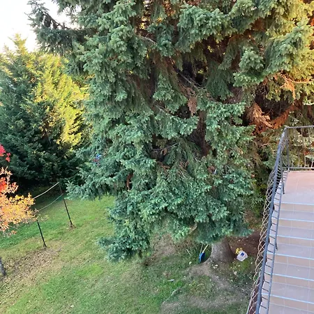 Apartment Retifarkas With A Belt, Fantastic Views And Free Parking